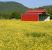 Frankfort Pole Barns by Ohio Valley Roofing Systems, LLC